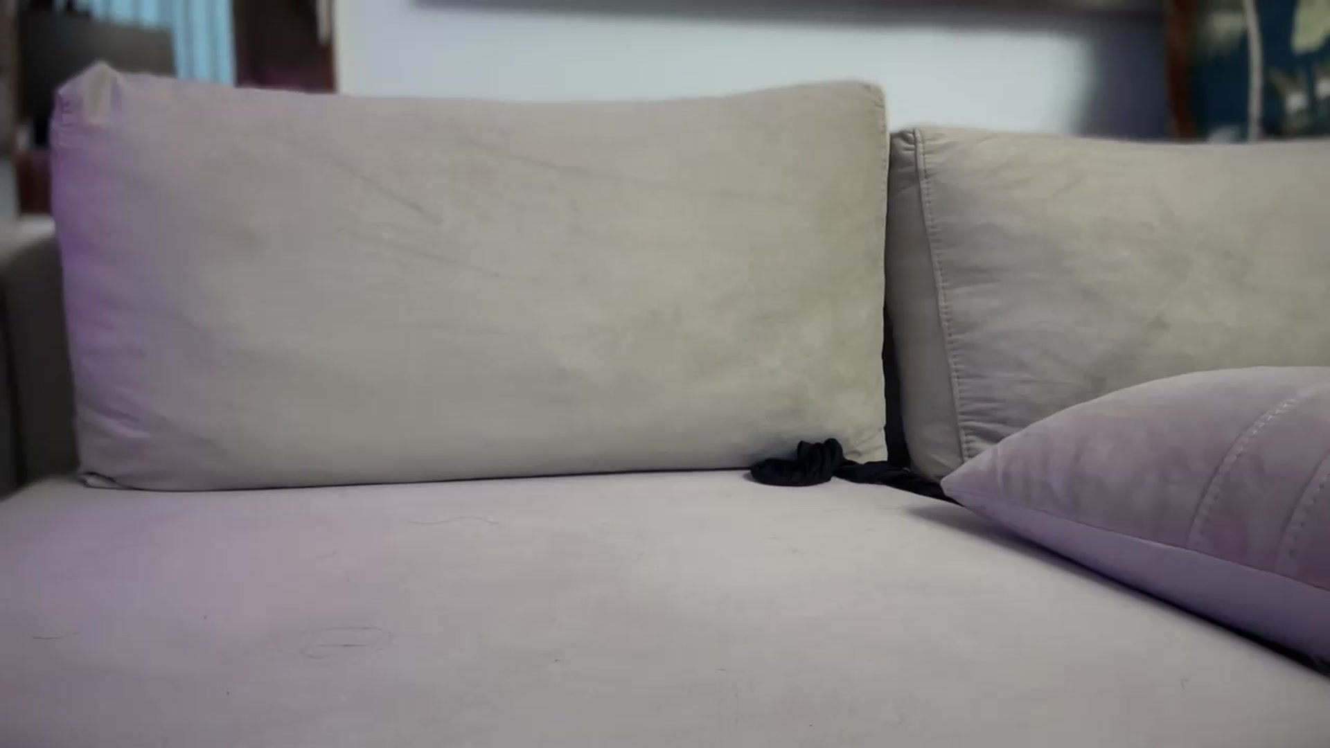 Gallery image thumbnail from UGLYGIRL_'s myfreecams stream on, 11/12/2025, 05:33 image 10 of 20