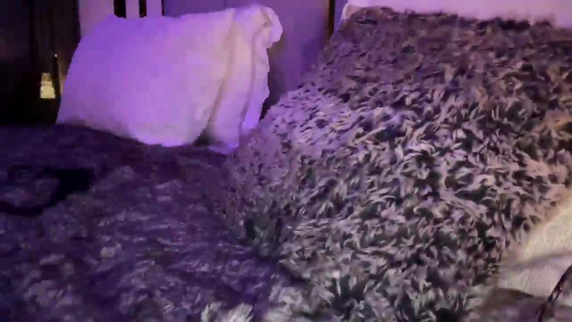 Gallery image thumbnail from UGLYGIRL_'s myfreecams stream on, 11/18/2025, 01:57 image 17 of 20
