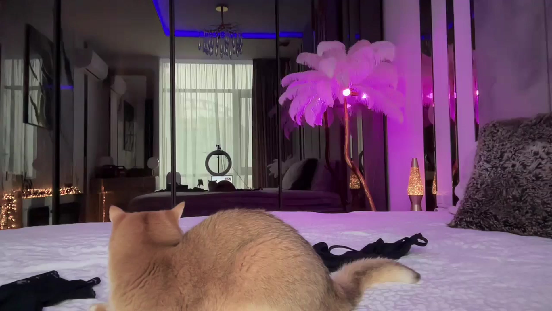 Gallery image thumbnail from UGLYGIRL_'s myfreecams stream on, 12/09/2025, 08:01 image 1 of 20