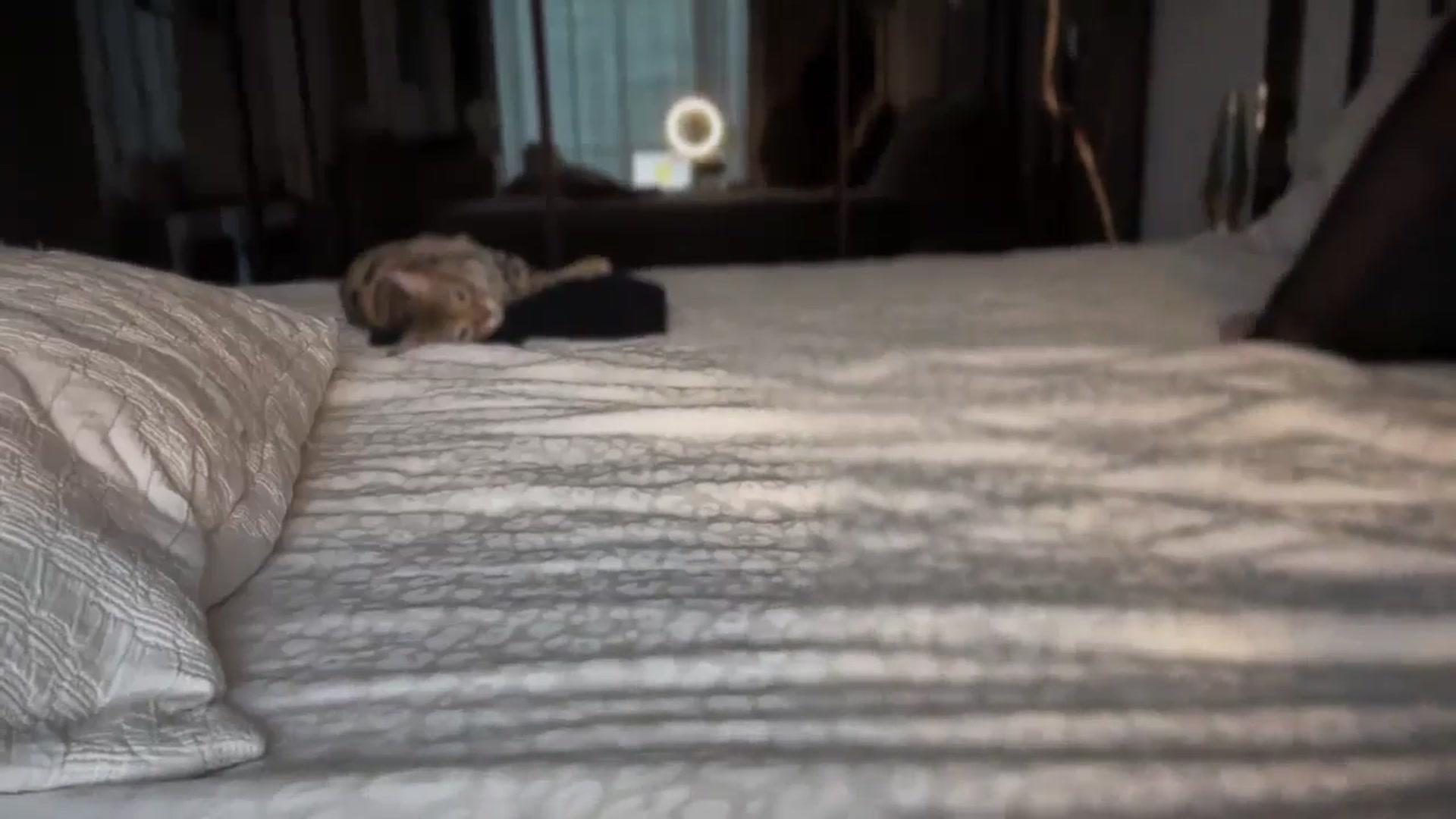 Gallery image thumbnail from UGLYGIRL_'s myfreecams stream on, 12/19/2025, 12:52 image 16 of 20