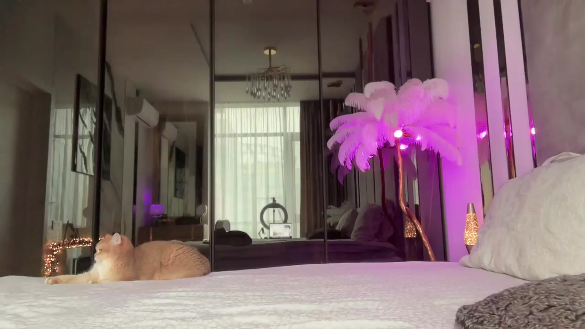 Gallery image thumbnail from UGLYGIRL_'s myfreecams stream on, 12/25/2025, 11:23 image 13 of 20