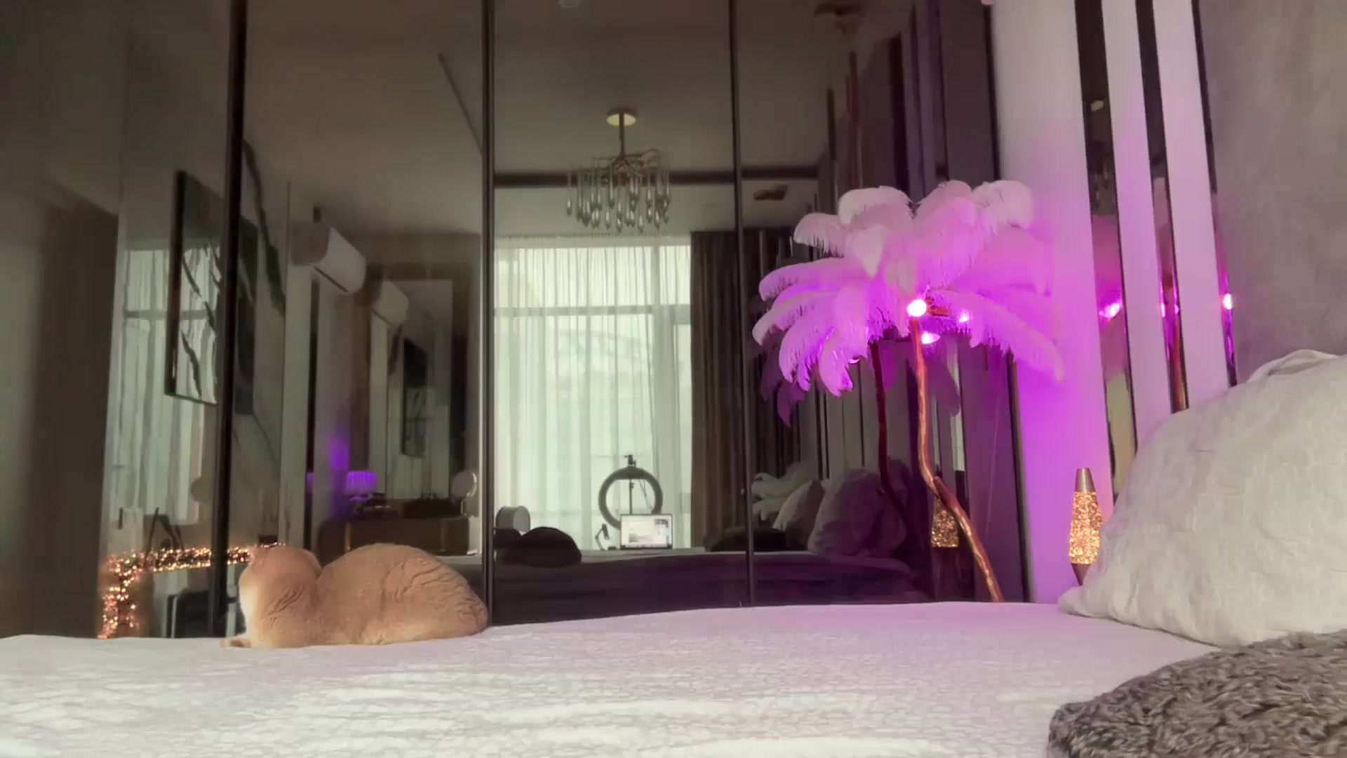 Gallery image thumbnail from UGLYGIRL_'s myfreecams stream on, 12/25/2025, 11:23 image 12 of 20