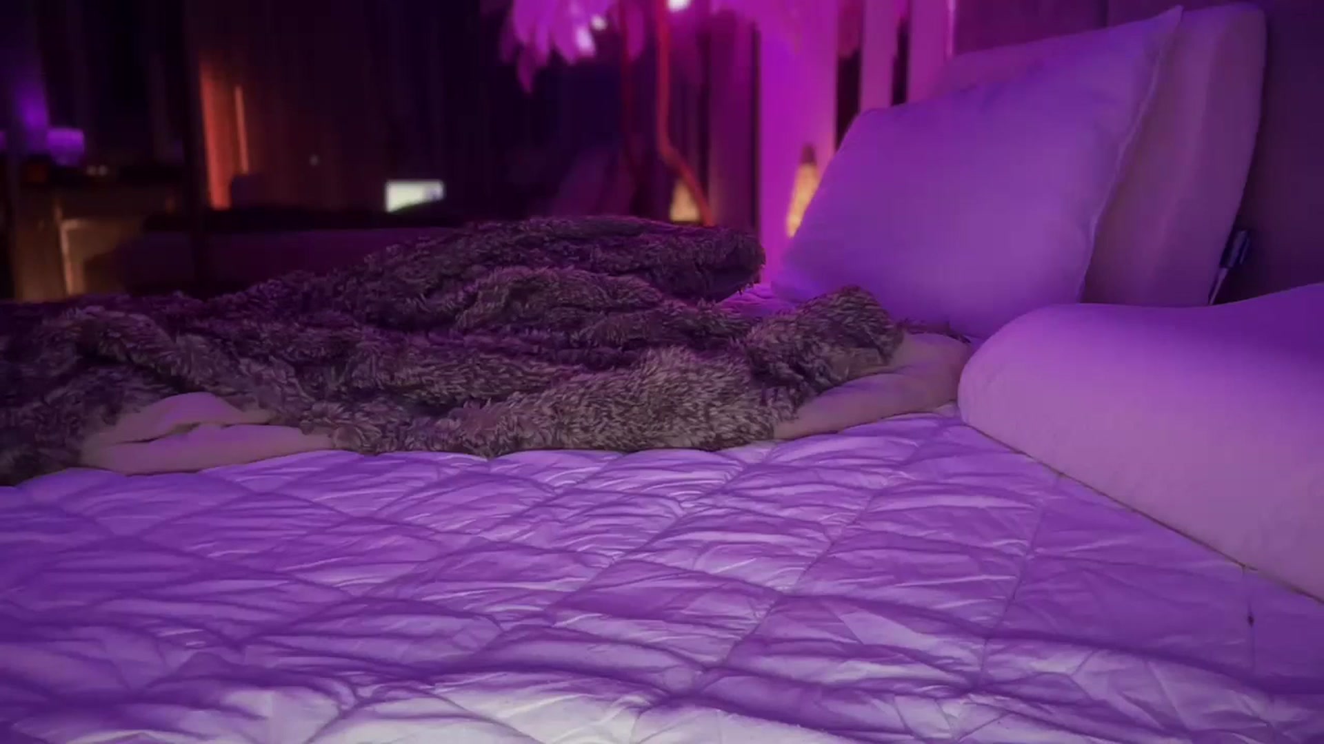 Gallery image thumbnail from UGLYGIRL_'s myfreecams stream on, 12/27/2025, 05:54 image 14 of 20