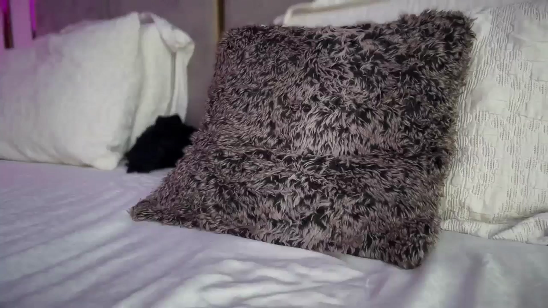 Gallery image thumbnail from UGLYGIRL_'s myfreecams stream on, 12/30/2025, 14:25 image 2 of 20