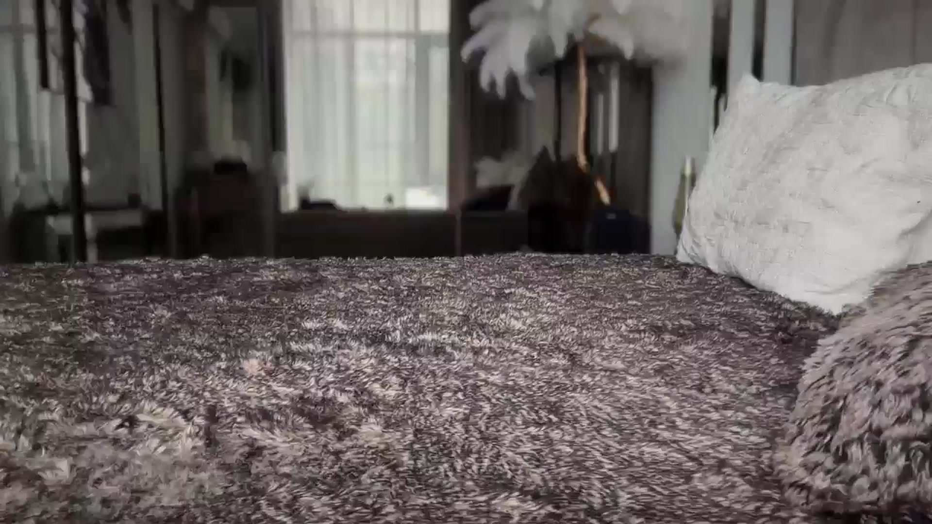 Gallery image thumbnail from UGLYGIRL_'s myfreecams stream on, 01/28/2026, 10:57 image 3 of 20