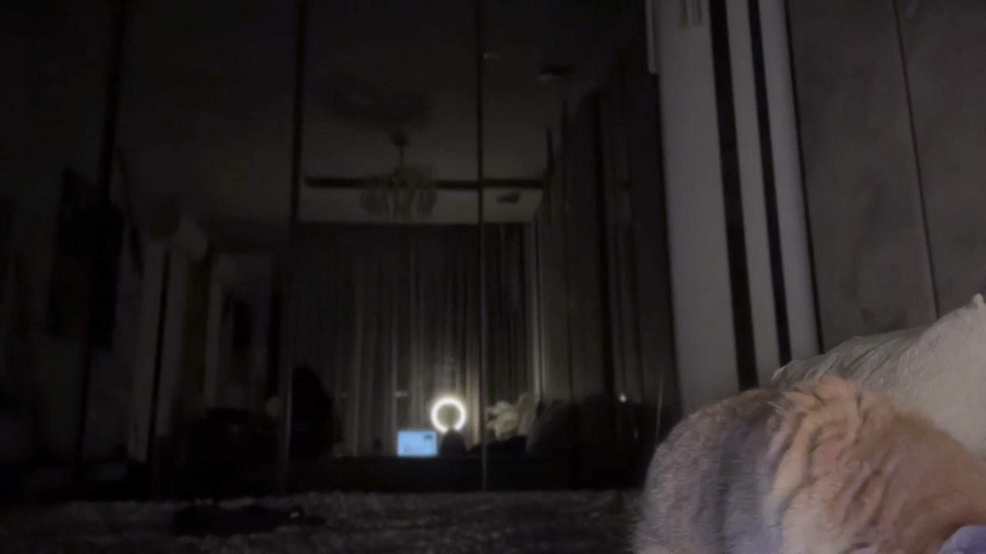 Gallery image thumbnail from UGLYGIRL_'s myfreecams stream on, 02/10/2026, 17:15 image 8 of 20