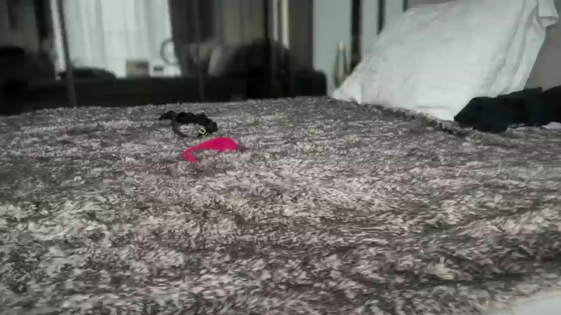 Gallery image thumbnail from UGLYGIRL_'s myfreecams stream on, 02/13/2026, 12:24 image 14 of 20