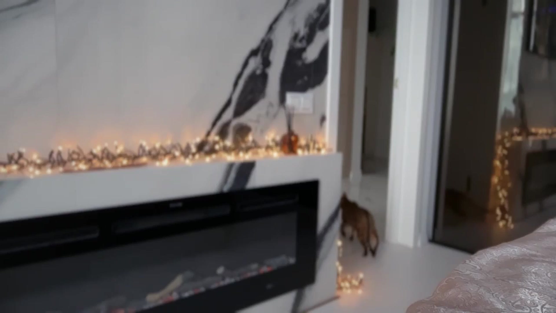 Gallery image thumbnail from UGLYGIRL_'s myfreecams stream on, 03/06/2026, 12:35 image 1 of 20