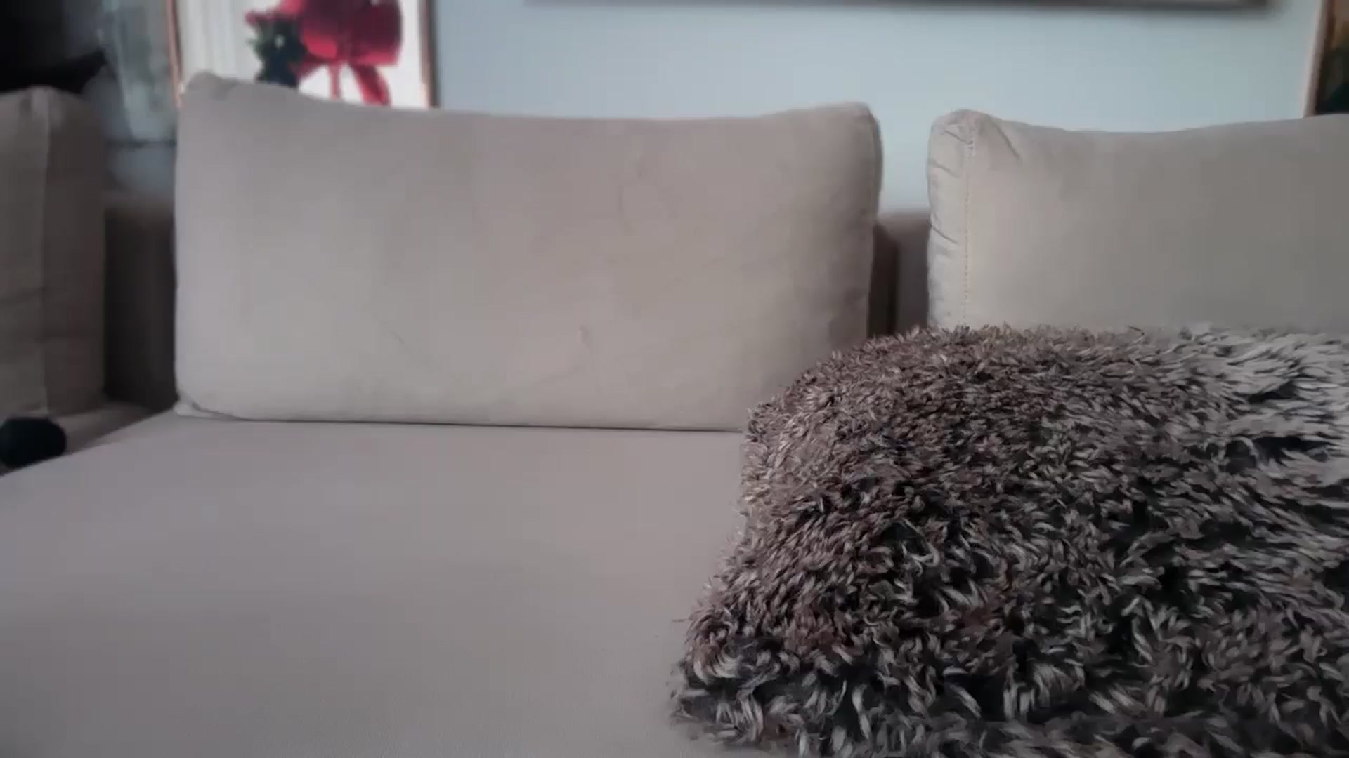 Gallery image thumbnail from UGLYGIRL_'s myfreecams stream on, 04/11/2026, 06:31 image 10 of 20