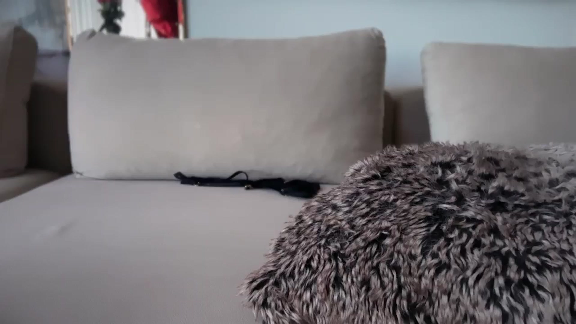 Gallery image thumbnail from UGLYGIRL_'s myfreecams stream on, 04/15/2026, 11:17 image 18 of 20