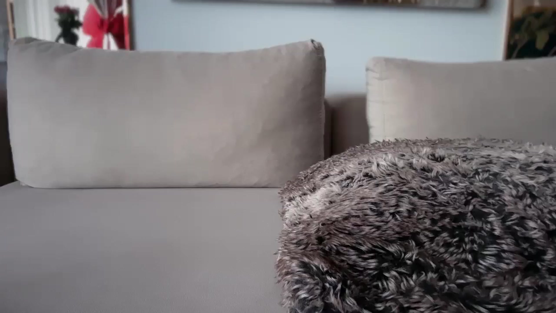 Gallery image thumbnail from UGLYGIRL_'s myfreecams stream on, 04/21/2026, 11:56 image 17 of 20