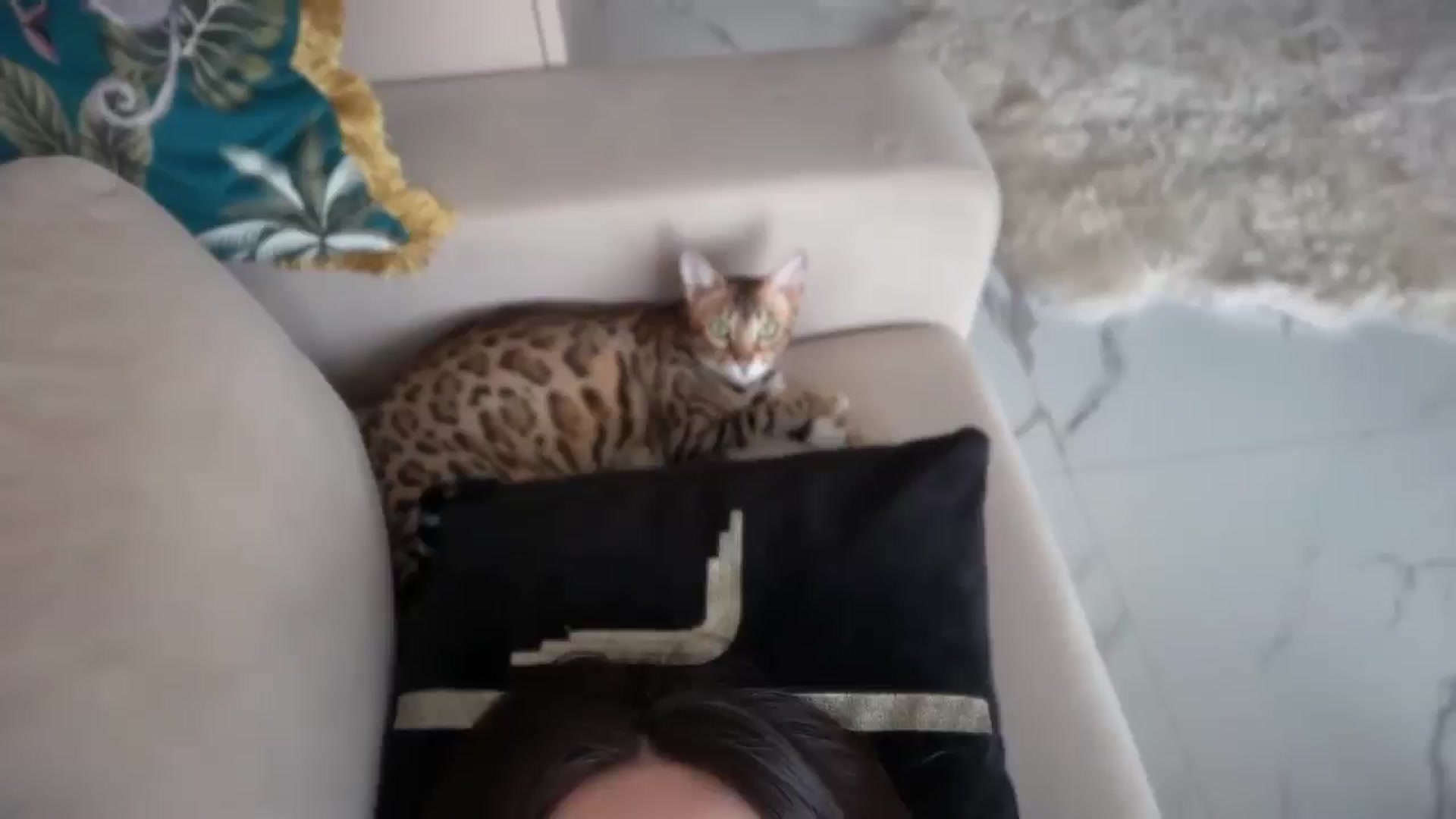 Gallery image thumbnail from UGLYGIRL_'s myfreecams stream on, 04/24/2026, 11:47 image 17 of 20
