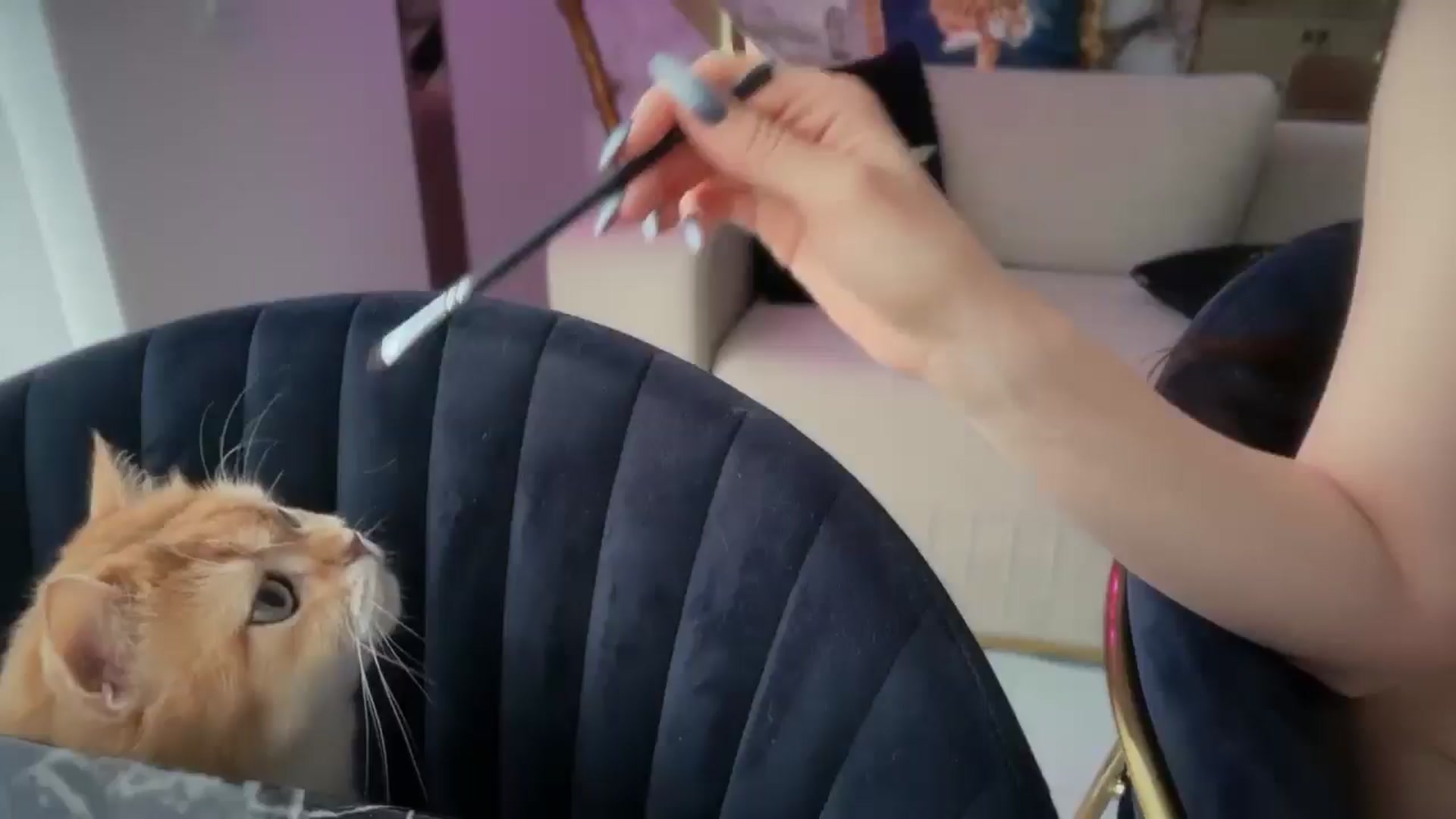 Gallery image thumbnail from UGLYGIRL_'s myfreecams stream on, 04/25/2026, 16:02 image 10 of 20