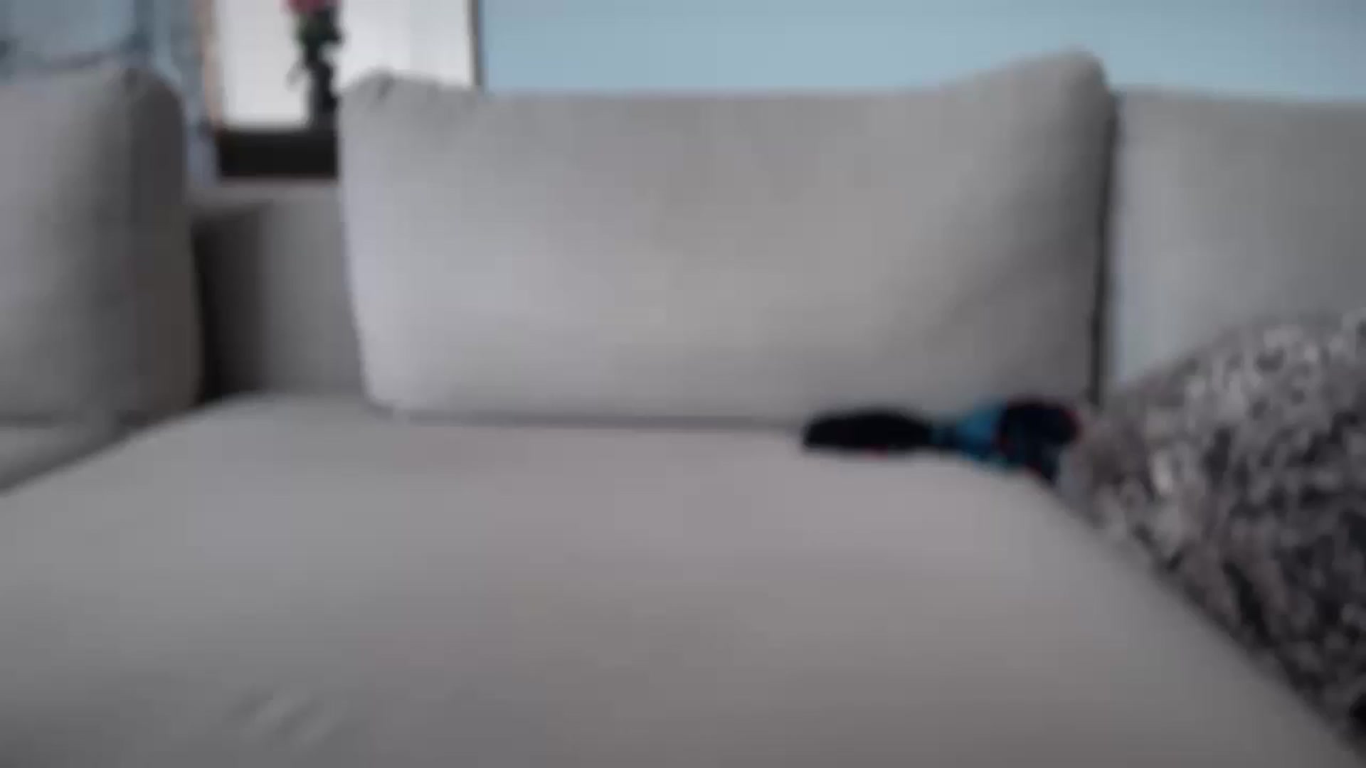 Gallery image thumbnail from UGLYGIRL_'s myfreecams stream on, 05/21/2026, 10:41 image 1 of 20