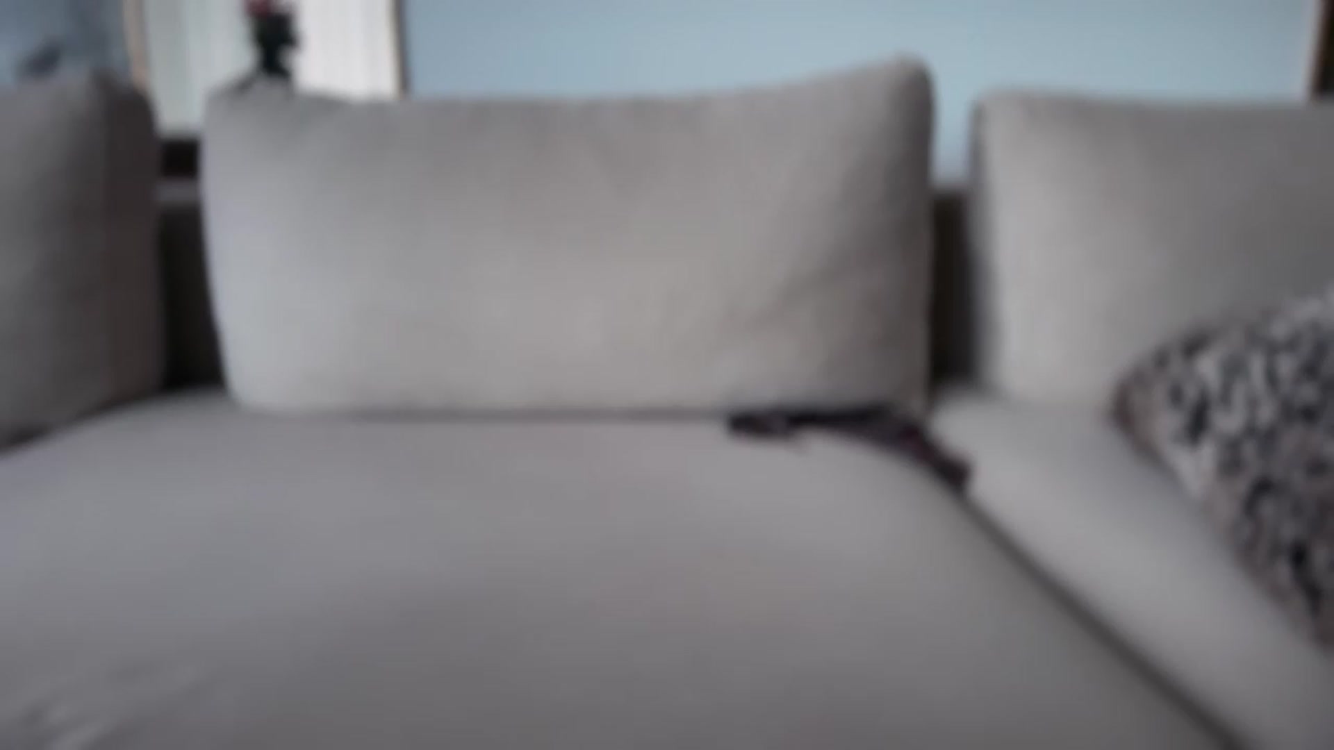 Gallery image thumbnail from UGLYGIRL_'s myfreecams stream on, 05/29/2026, 14:21 image 18 of 20