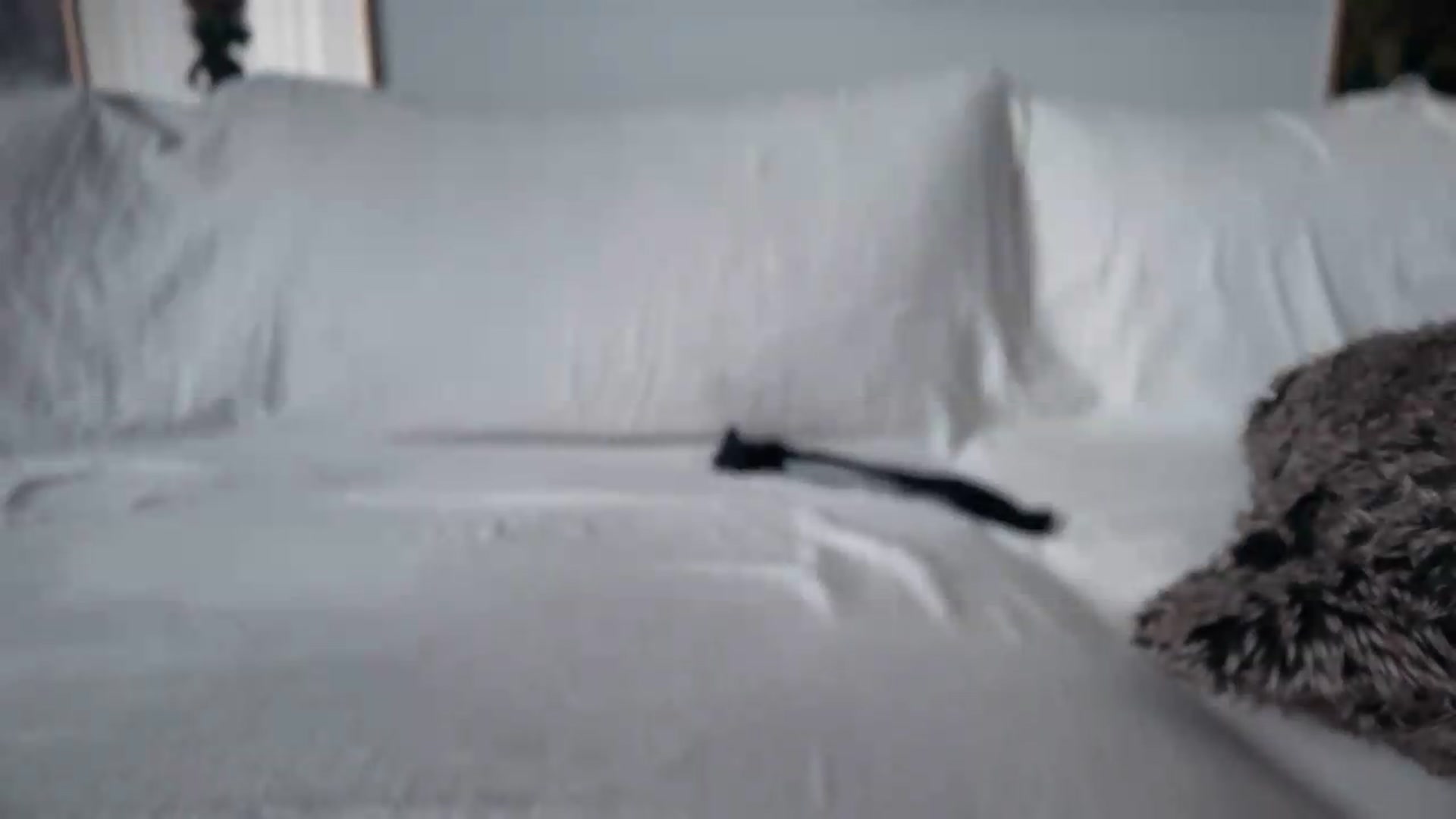 Gallery image thumbnail from UGLYGIRL_'s myfreecams stream on, 06/04/2026, 09:42 image 3 of 20