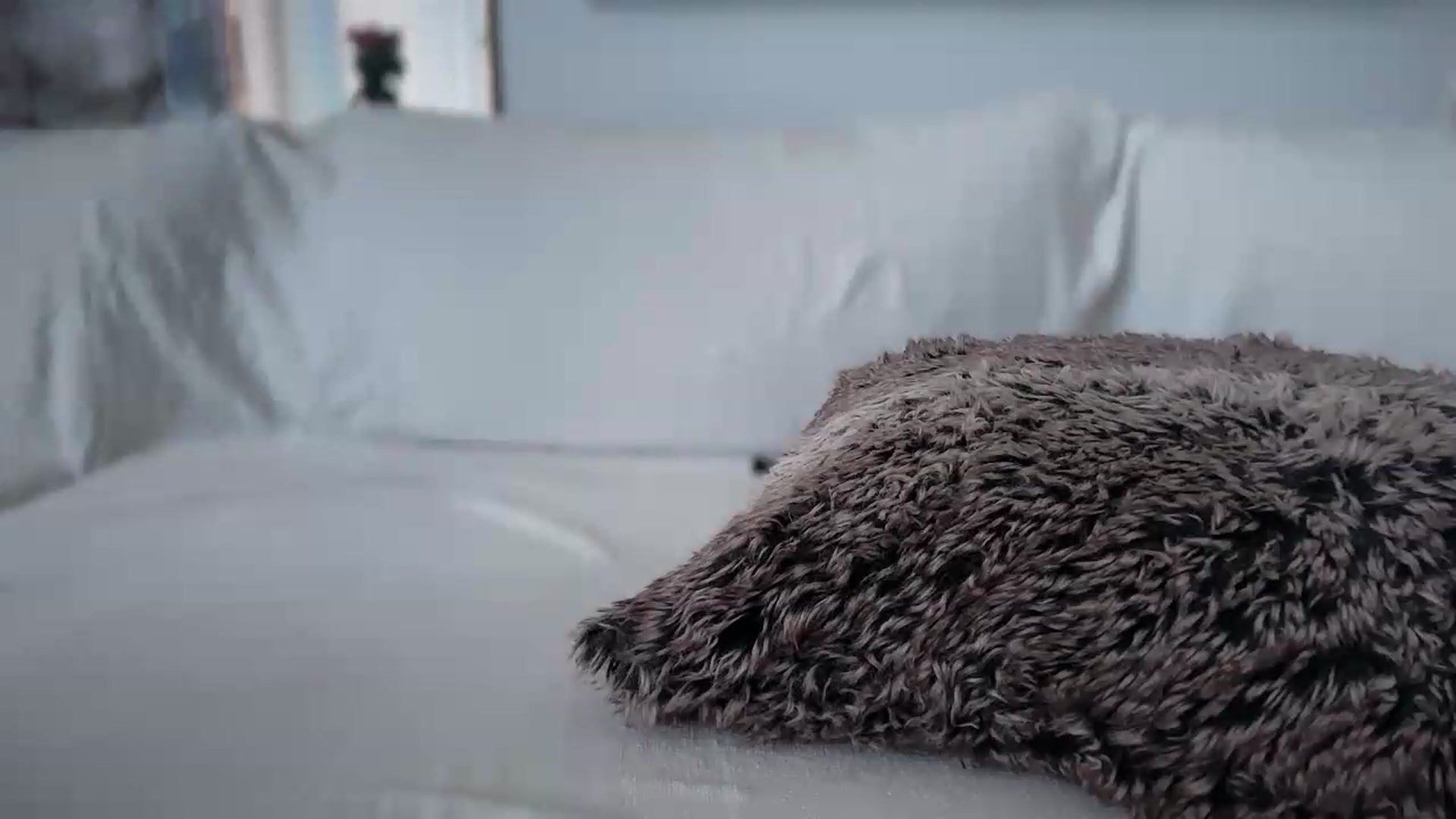 Gallery image thumbnail from UGLYGIRL_'s myfreecams stream on, 06/10/2026, 07:12 image 12 of 20
