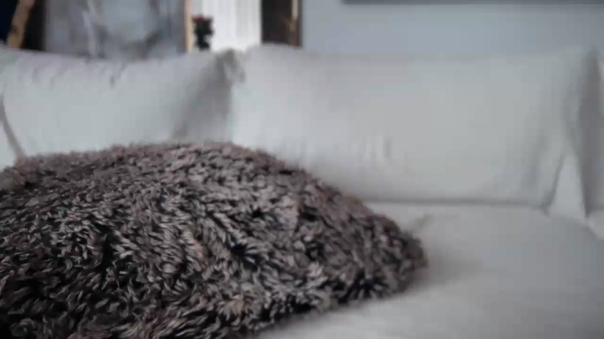 Gallery image thumbnail from UGLYGIRL_'s myfreecams stream on, 06/14/2026, 14:22 image 8 of 20
