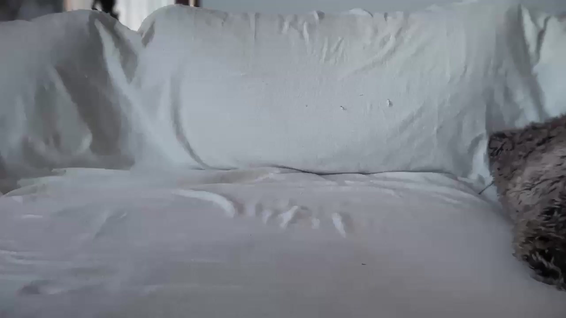 Gallery image thumbnail from UGLYGIRL_'s myfreecams stream on, 06/19/2026, 16:45 image 17 of 20
