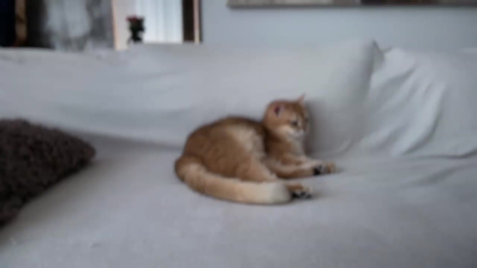 Gallery image thumbnail from UGLYGIRL_'s myfreecams stream on, 06/24/2026, 11:38 image 4 of 20