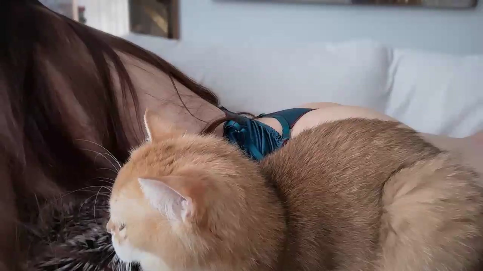 Gallery image thumbnail from UGLYGIRL_'s myfreecams stream on, 07/10/2026, 09:33 image 15 of 20