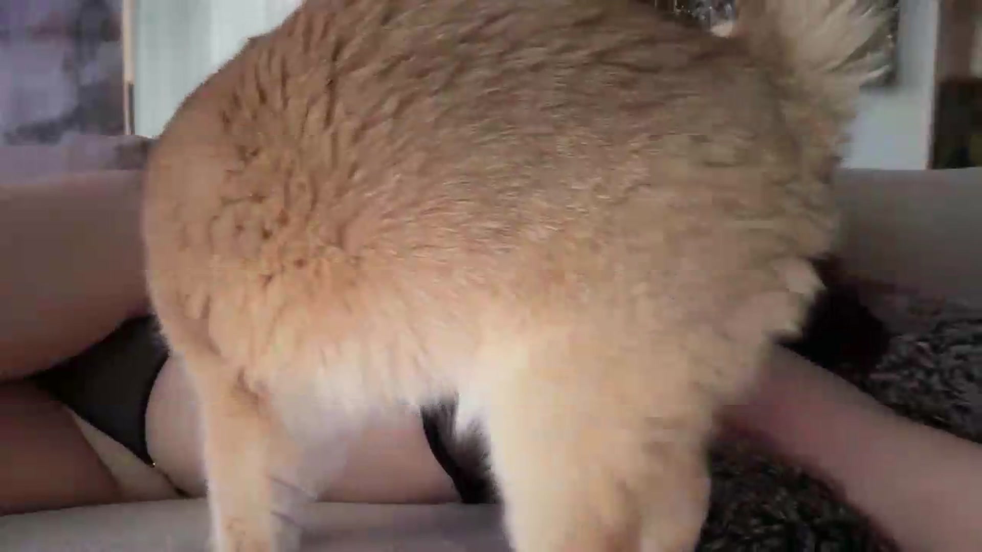 Gallery image thumbnail from UGLYGIRL_'s myfreecams stream on, 09/05/2026, 05:55 image 18 of 20
