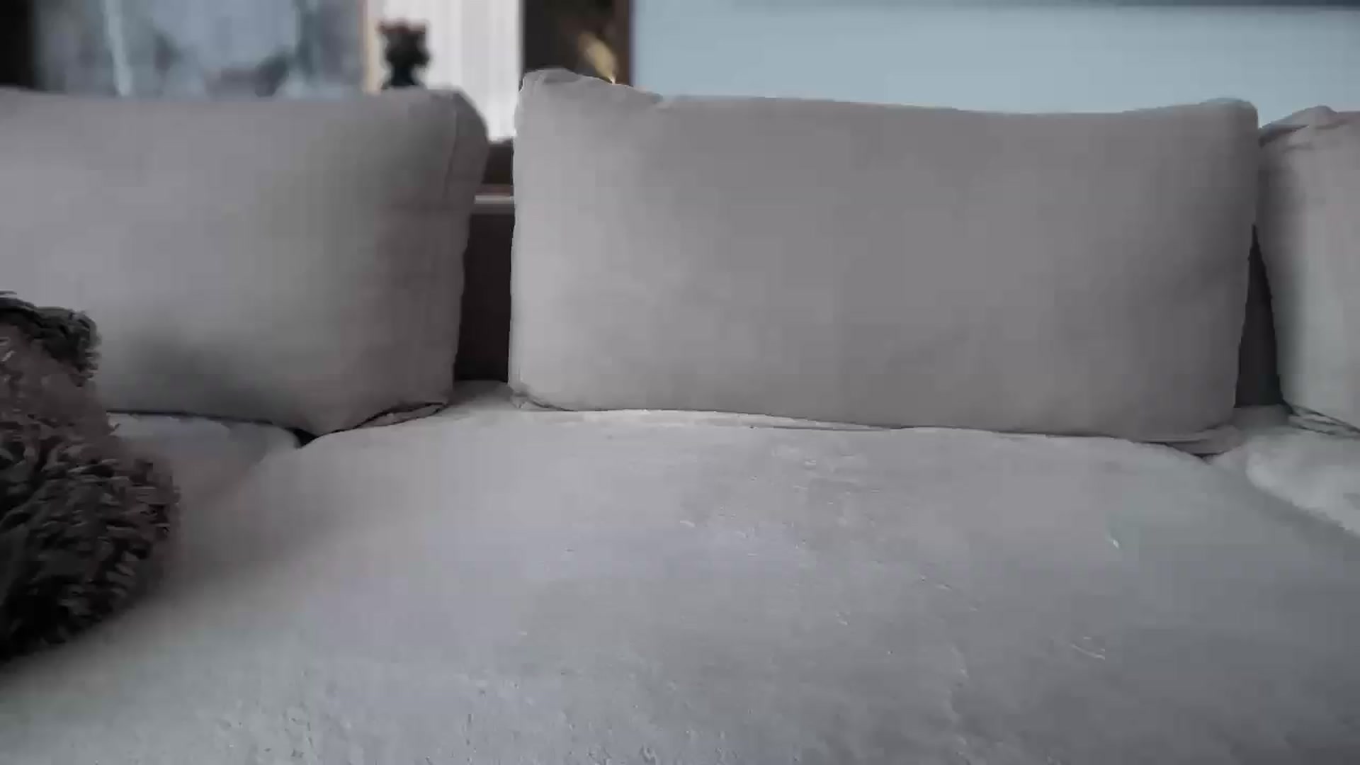 Gallery image thumbnail from UGLYGIRL_'s myfreecams stream on, 09/06/2026, 11:49 image 9 of 20