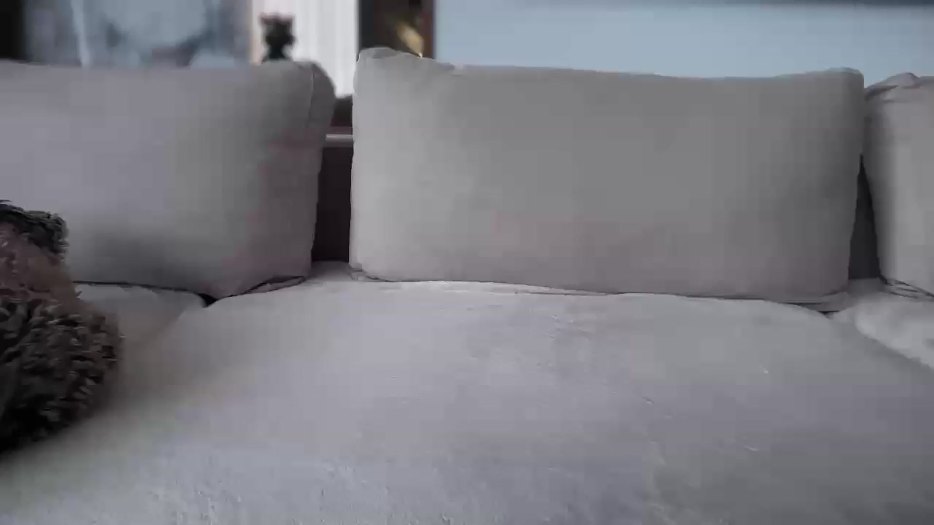 Gallery image thumbnail from UGLYGIRL_'s myfreecams stream on, 09/06/2026, 11:49 image 16 of 20