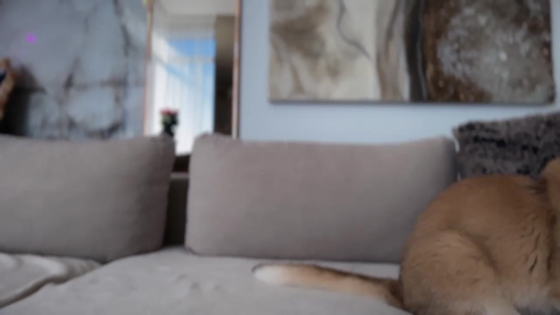 Gallery image thumbnail from UGLYGIRL_'s myfreecams stream on, 09/07/2026, 07:20 image 13 of 20