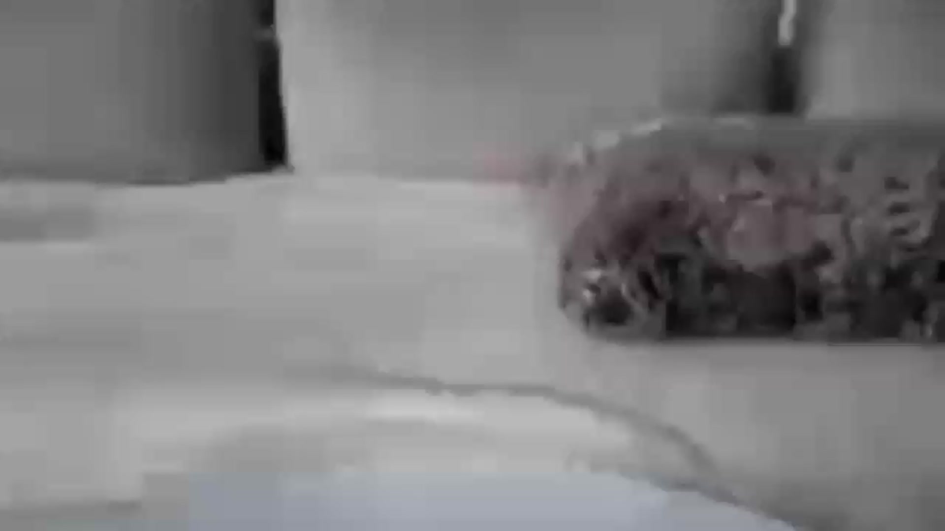 Gallery image thumbnail from UGLYGIRL_'s myfreecams stream on, 09/13/2026, 10:58 image 18 of 20