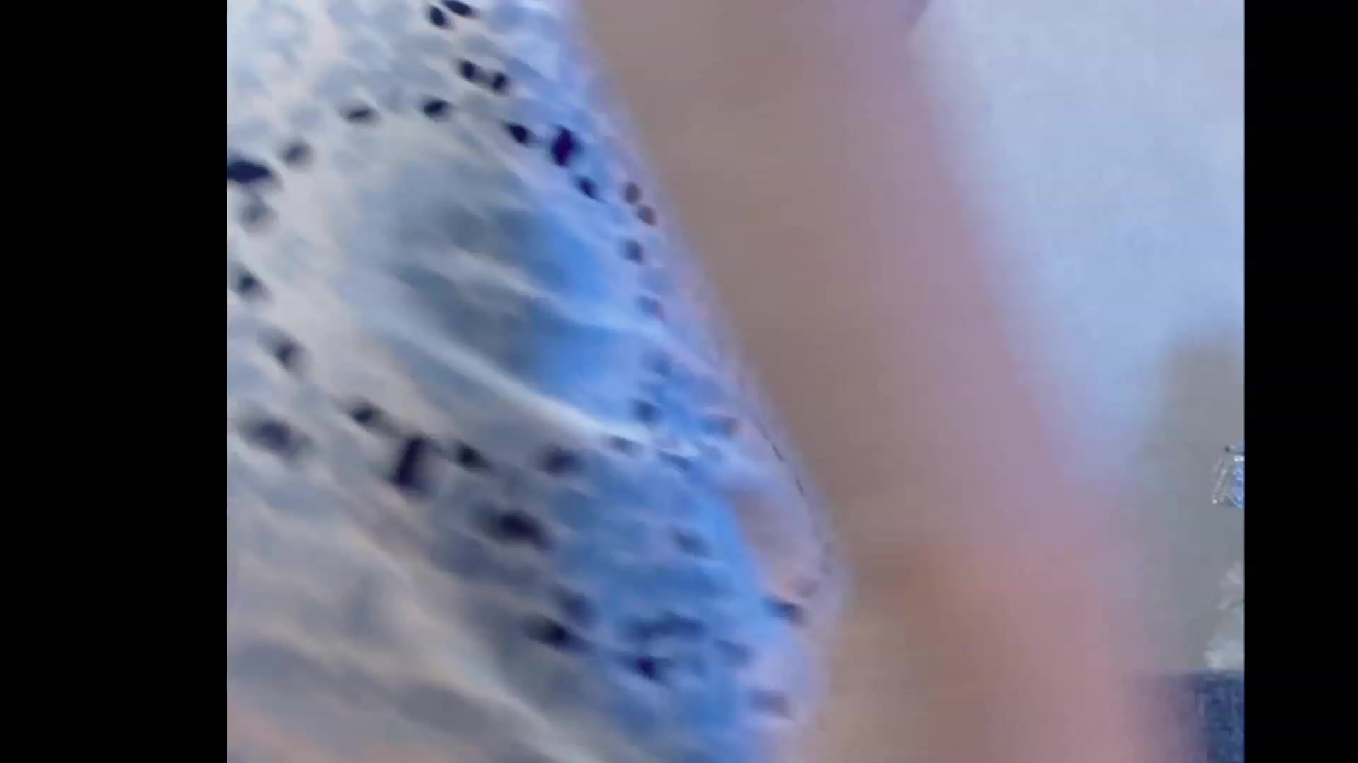 Gallery image thumbnail from Ukrainka1's myfreecams stream on, 01/09/2023, 12:16 image 6 of 20