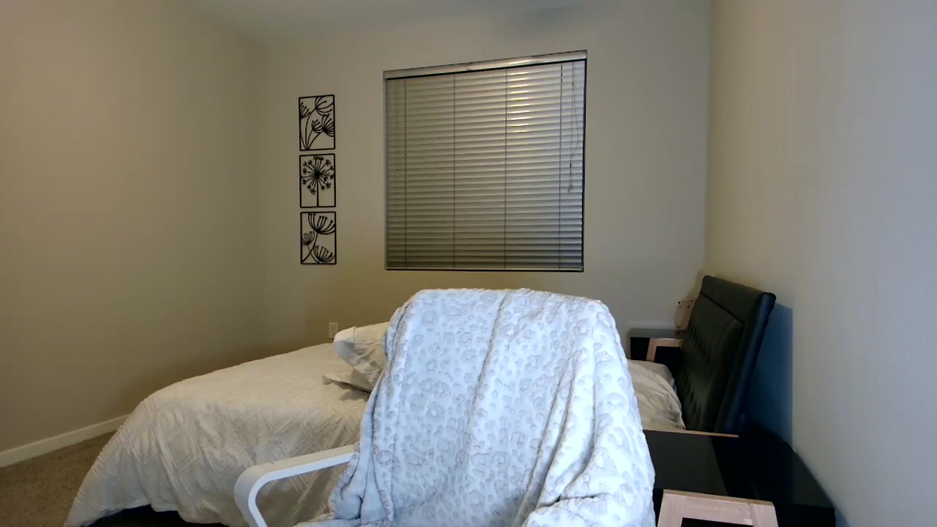 Gallery image thumbnail from UniqueAnita1's myfreecams stream on, 07/04/2023, 07:38 image 10 of 20