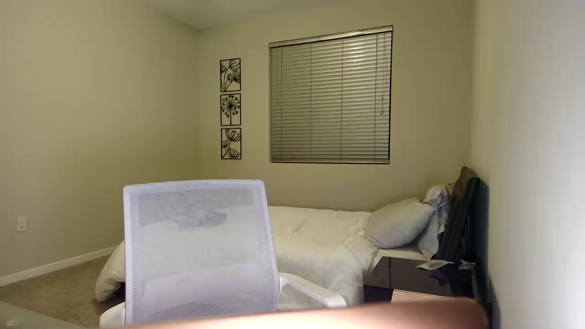 Gallery image thumbnail from UniqueAnita1's myfreecams stream on, 07/17/2023, 05:43 image 9 of 20