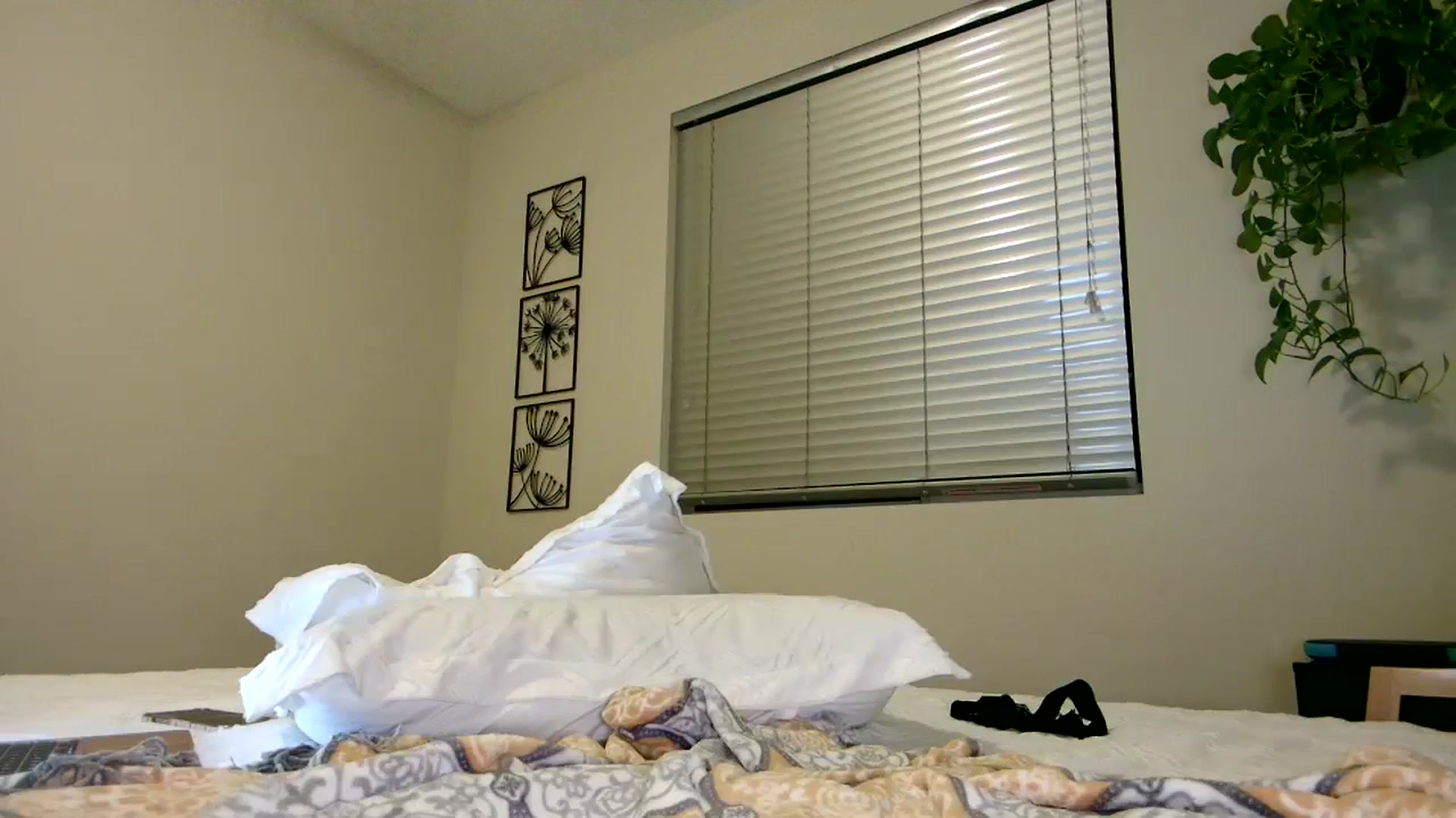 Gallery image thumbnail from UniqueAnita1's myfreecams stream on, 08/12/2023, 06:59 image 2 of 20