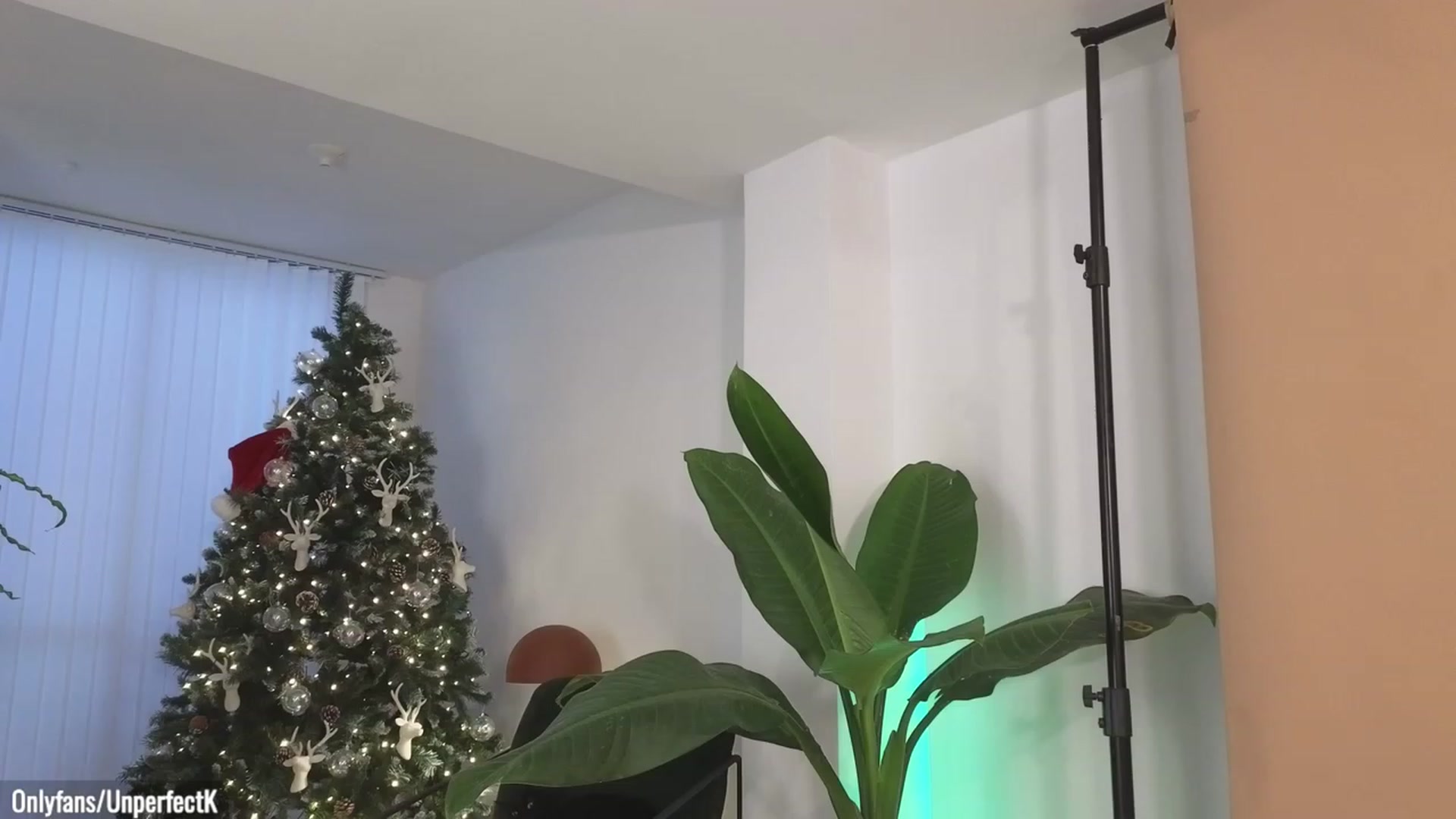 Gallery image thumbnail from UnperfectK's myfreecams stream on, 12/07/2023, 22:44 image 13 of 20