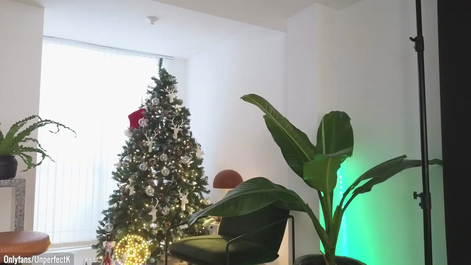 Gallery image thumbnail from UnperfectK's myfreecams stream on, 12/22/2023, 22:39 image 4 of 20