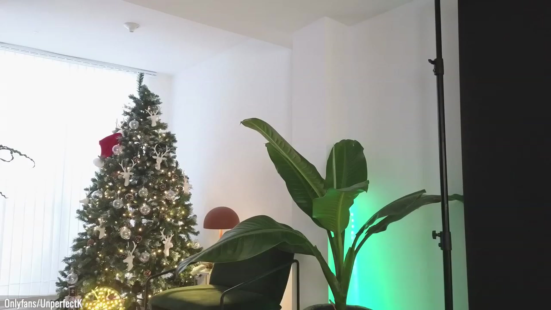 Gallery image thumbnail from UnperfectK's myfreecams stream on, 12/22/2023, 22:39 image 7 of 20