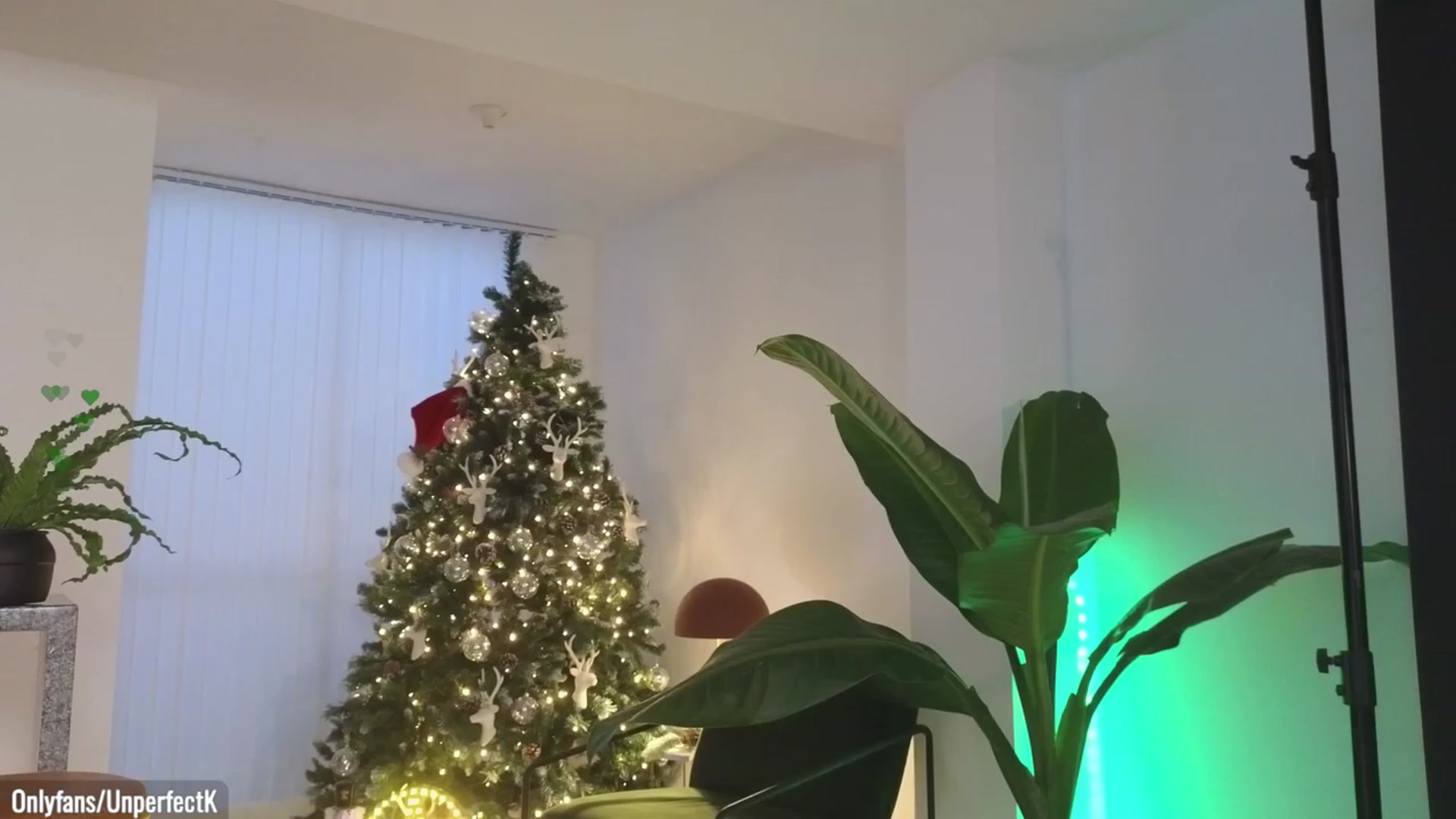 Gallery image thumbnail from UnperfectK's myfreecams stream on, 12/23/2023, 04:27 image 5 of 20