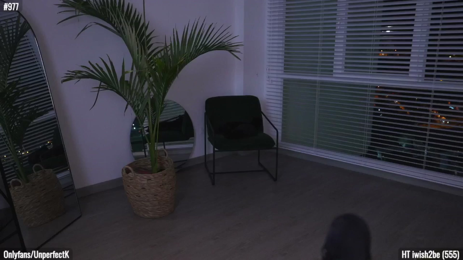Gallery image thumbnail from UnperfectK's myfreecams stream on, 03/22/2025, 03:49 image 8 of 20