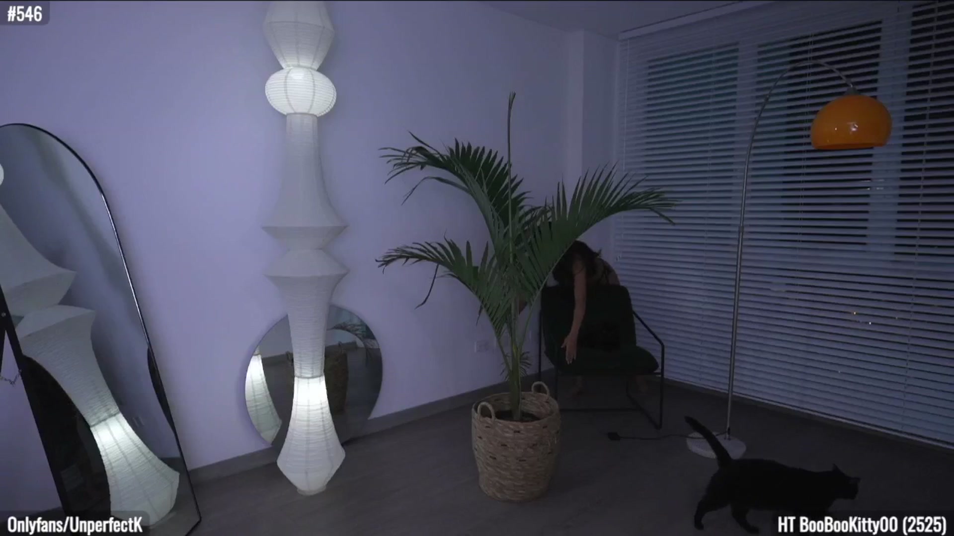 Gallery image thumbnail from UnperfectK's myfreecams stream on, 05/15/2025, 02:38 image 7 of 20