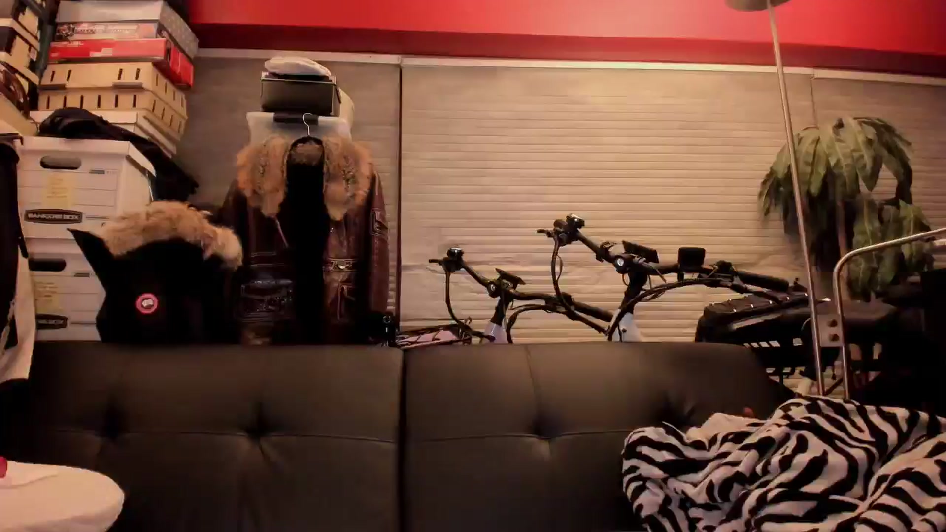 Gallery image thumbnail from UntamedBooty's myfreecams stream on, 04/29/2026, 09:51 image 10 of 20