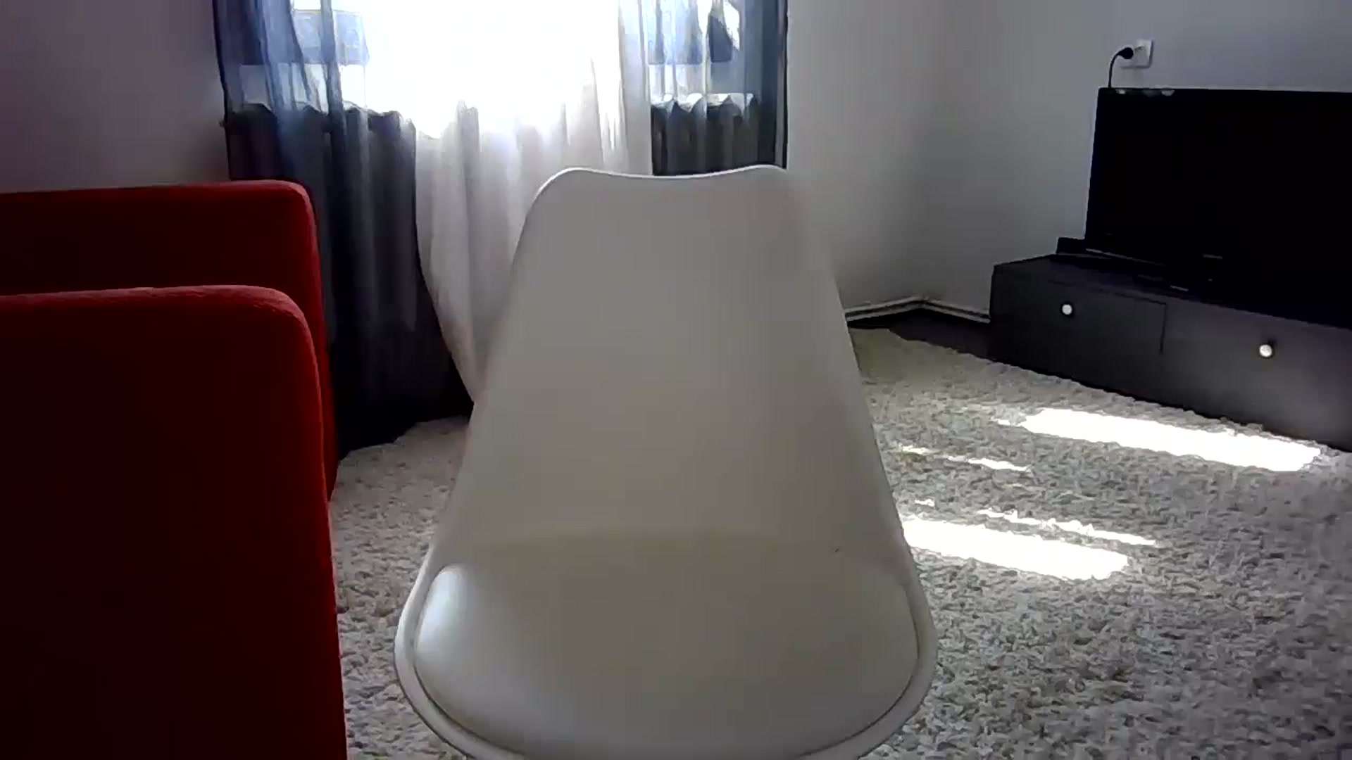 Gallery image thumbnail from Ur_kittycat's myfreecams stream on, 05/24/2024, 13:23 image 6 of 20