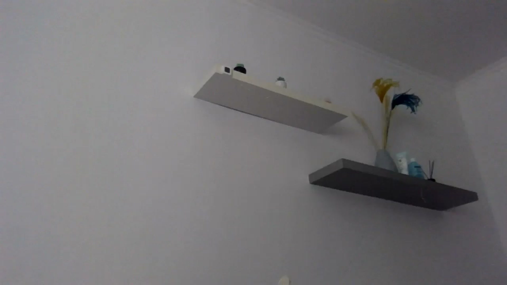 Gallery image thumbnail from Ur_kittycat's myfreecams stream on, 09/11/2024, 14:21 image 5 of 20