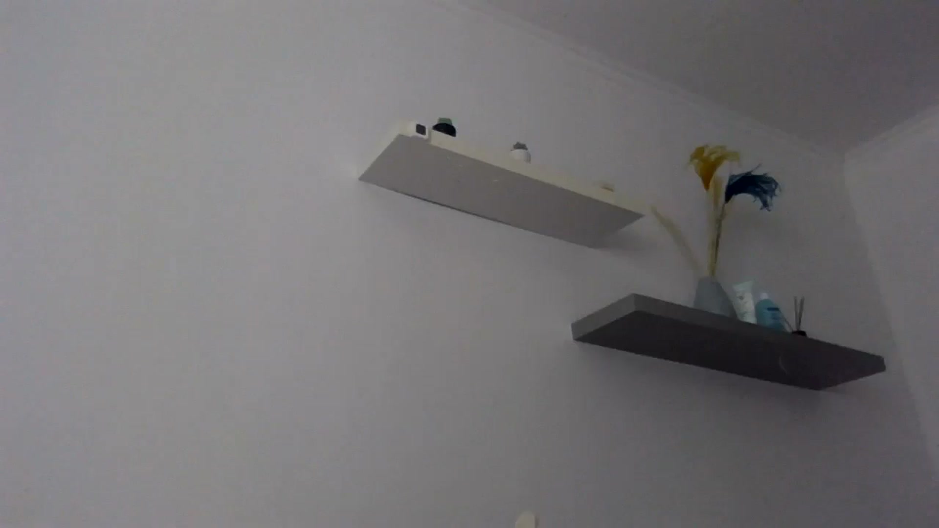 Gallery image thumbnail from Ur_kittycat's myfreecams stream on, 09/11/2024, 14:21 image 3 of 20
