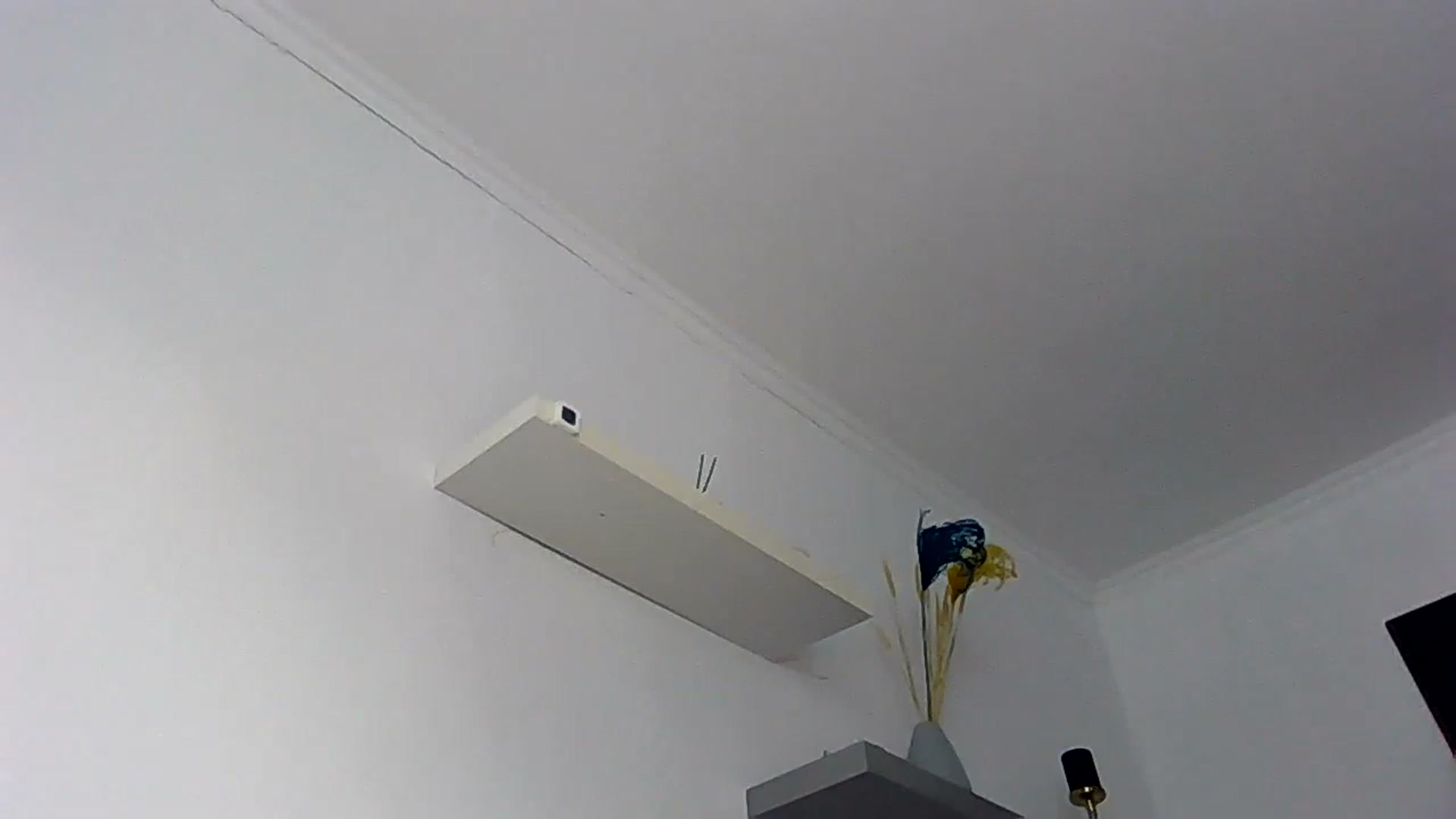 Gallery image thumbnail from Ur_kittycat's myfreecams stream on, 02/10/2025, 14:32 image 14 of 20