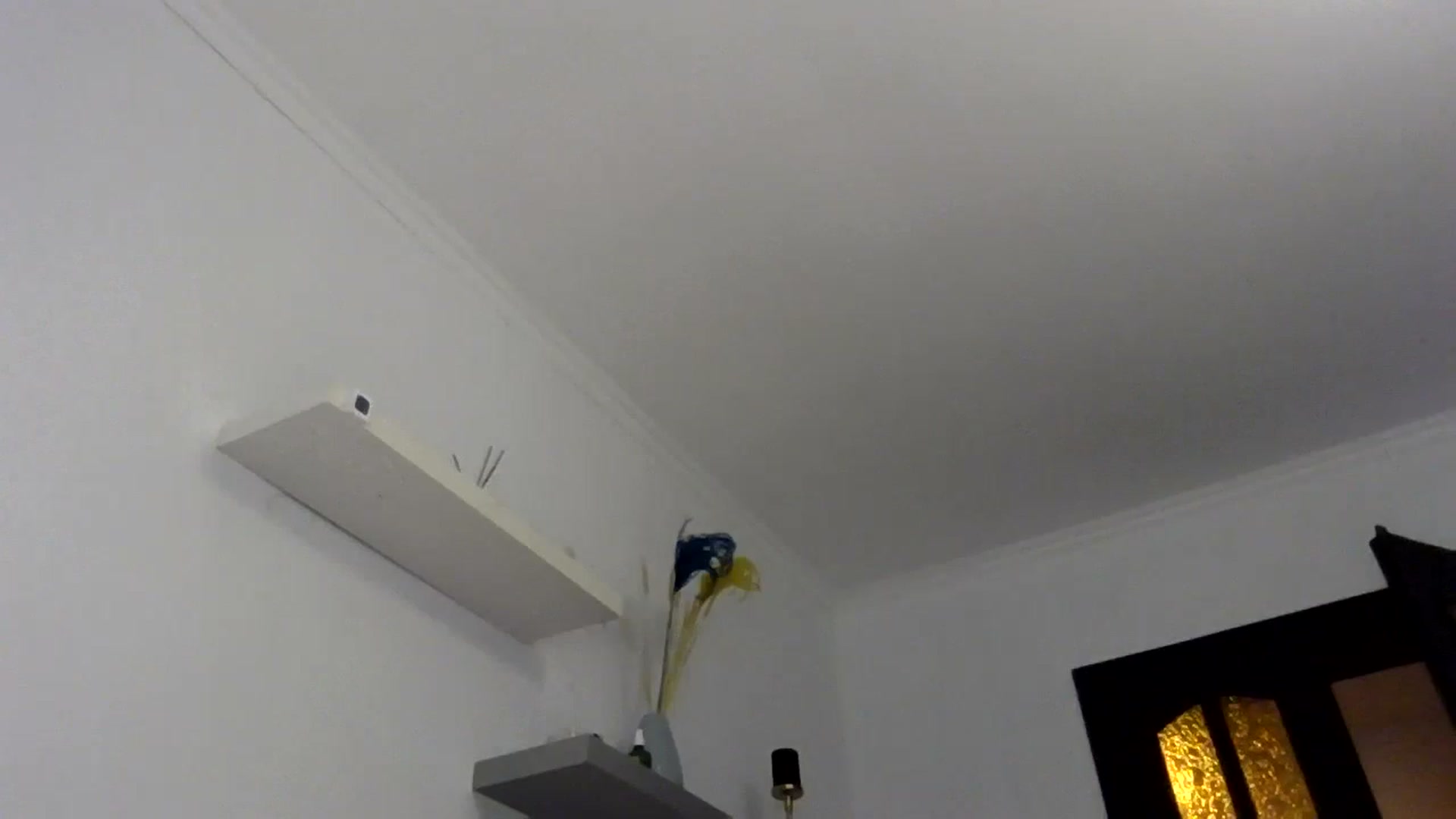 Gallery image thumbnail from Ur_kittycat's myfreecams stream on, 03/30/2025, 16:36 image 8 of 20