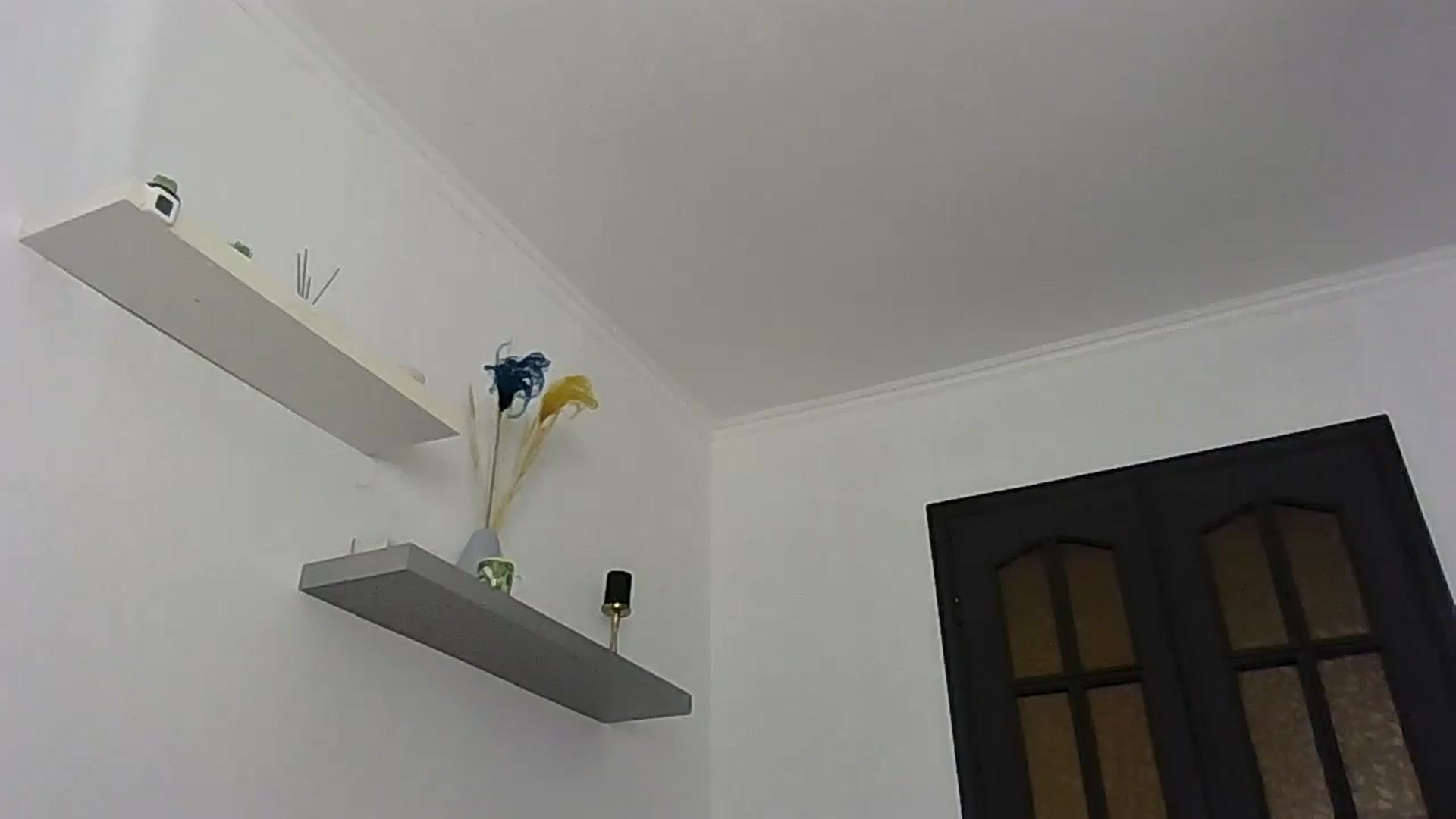 Gallery image thumbnail from Ur_kittycat's myfreecams stream on, 05/12/2025, 13:28 image 15 of 20