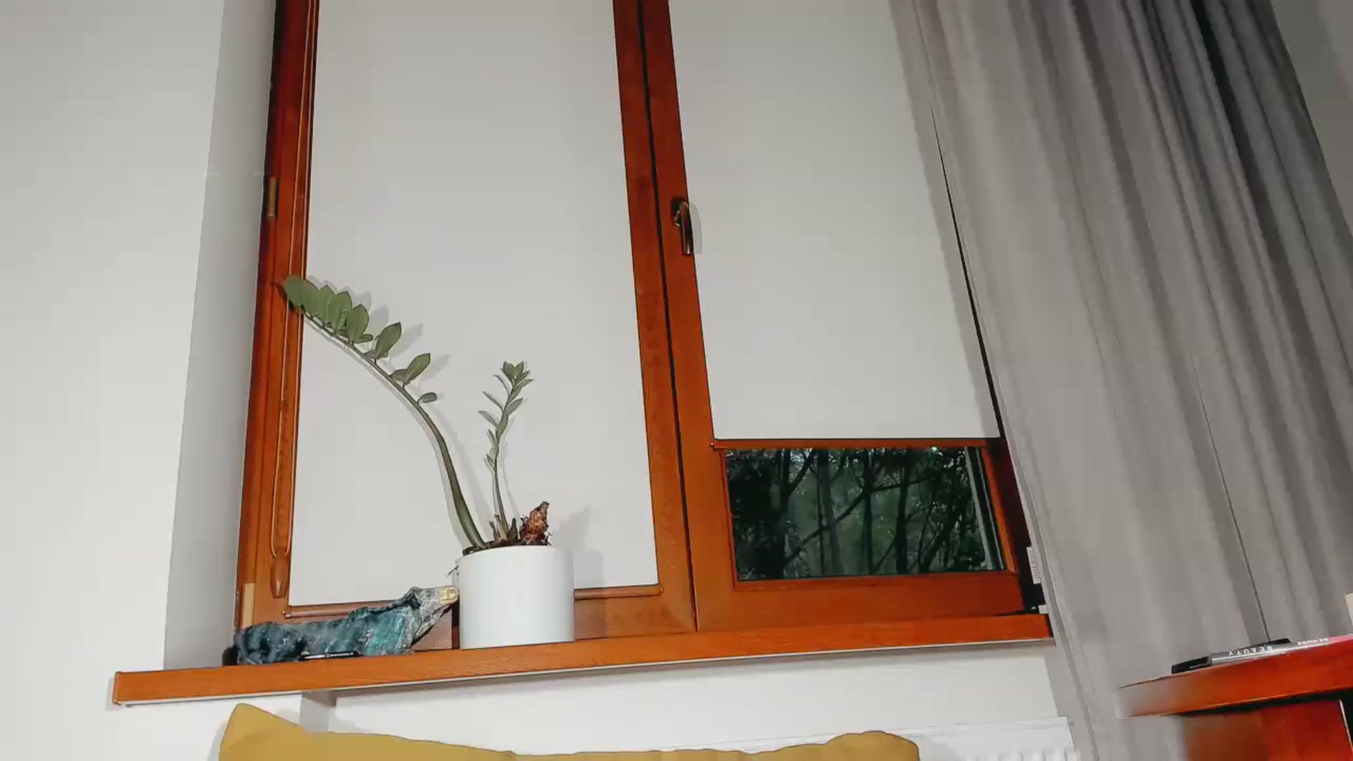 Gallery image thumbnail from User_number's myfreecams stream on, 10/15/2024, 16:46 image 2 of 20