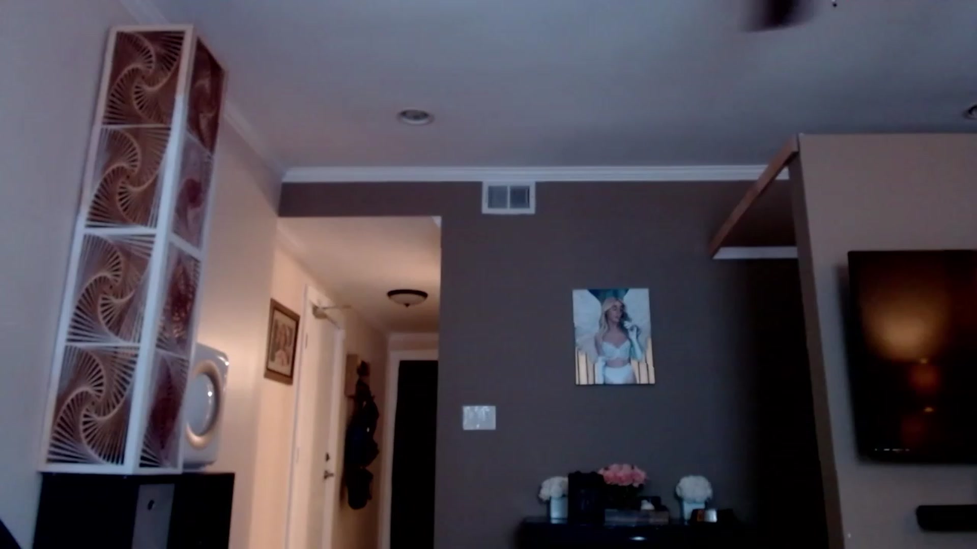 Gallery image thumbnail from VIX_SPY's myfreecams stream on, 01/25/2023, 21:31 image 19 of 20