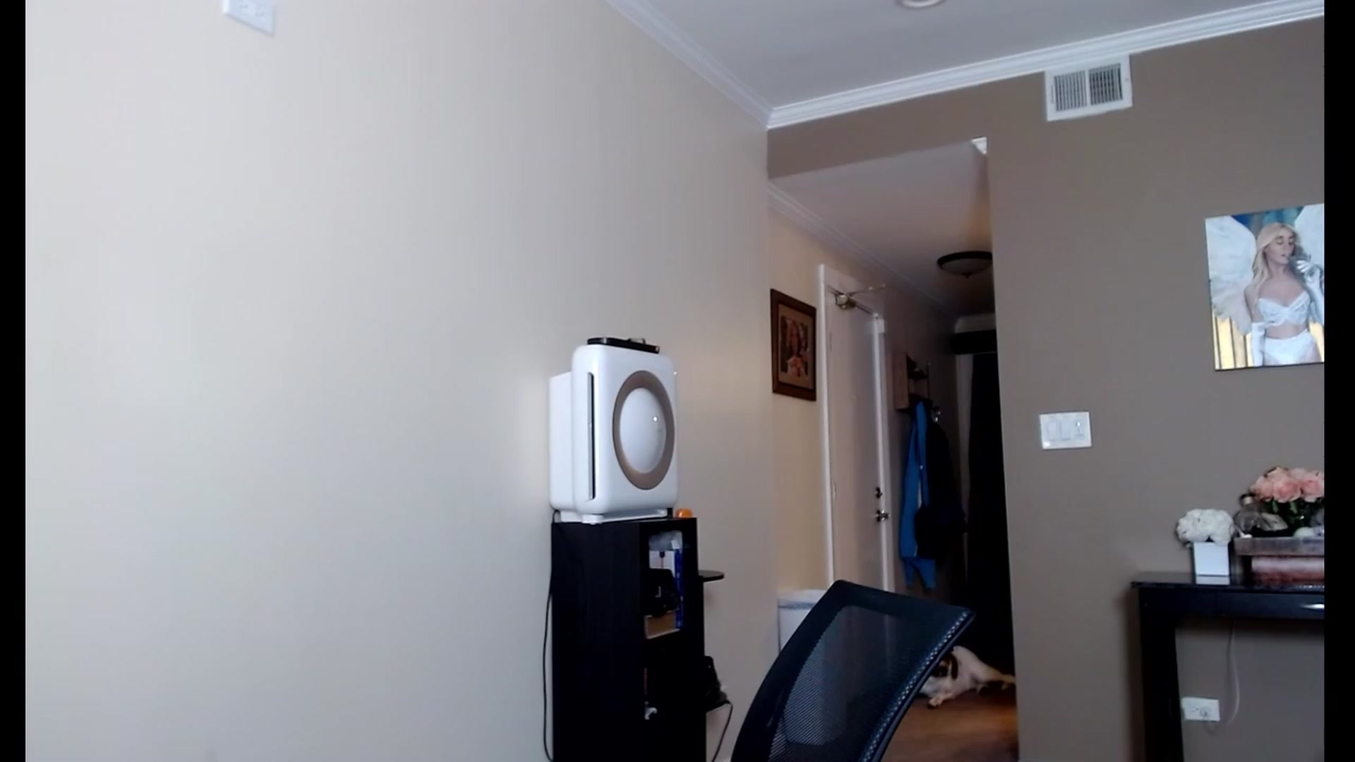 Gallery image thumbnail from VIX_SPY's myfreecams stream on, 09/15/2023, 19:51 image 15 of 20